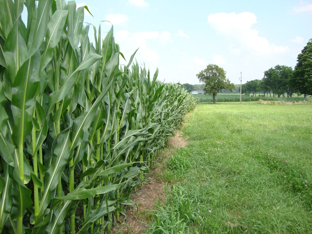 Property photo 24 - 160 Acres Offered in 6 Tracts